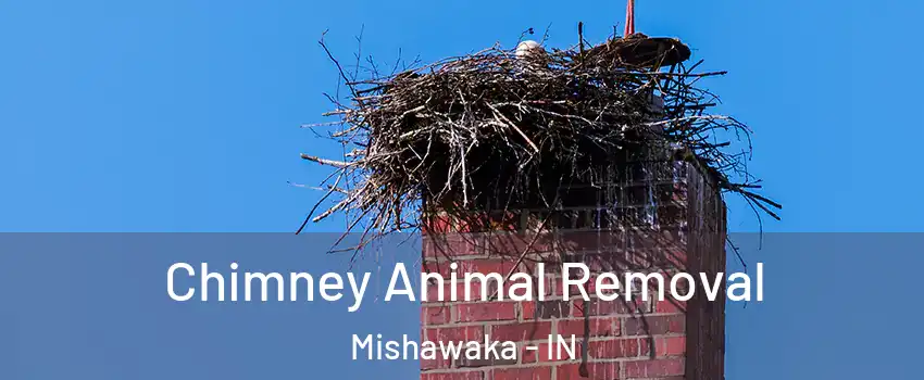 Chimney Animal Removal Mishawaka - IN