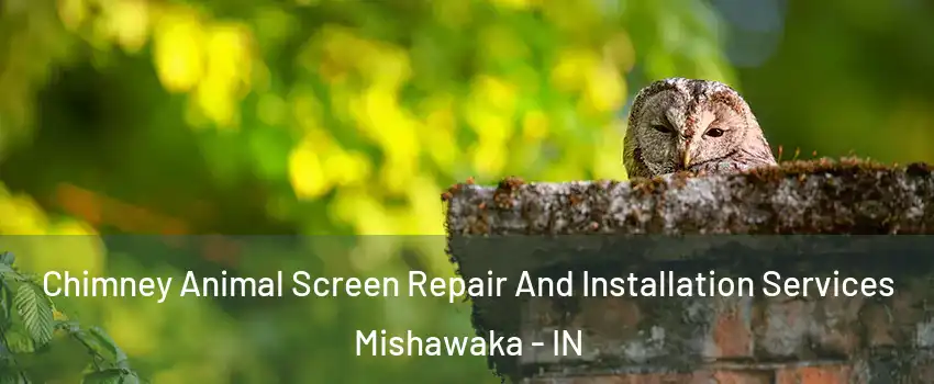  Chimney Animal Screen Repair And Installation Services Mishawaka - IN