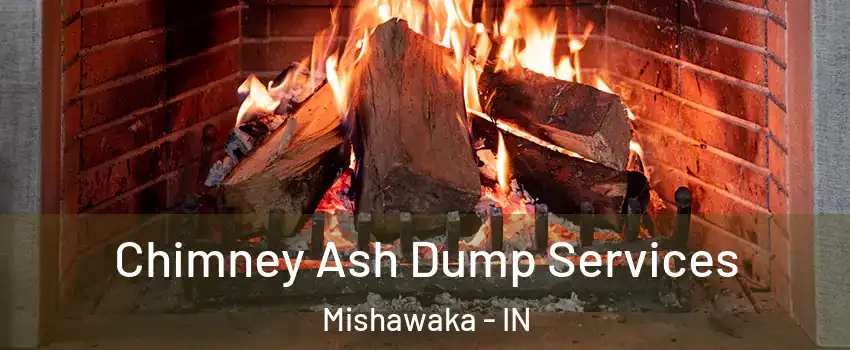  Chimney Ash Dump Services Mishawaka - IN