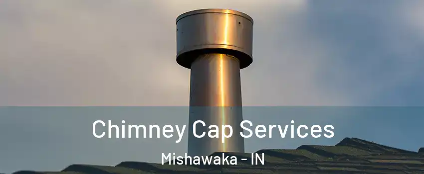  Chimney Cap Services Mishawaka - IN