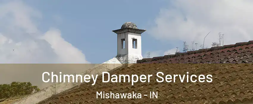  Chimney Damper Services Mishawaka - IN