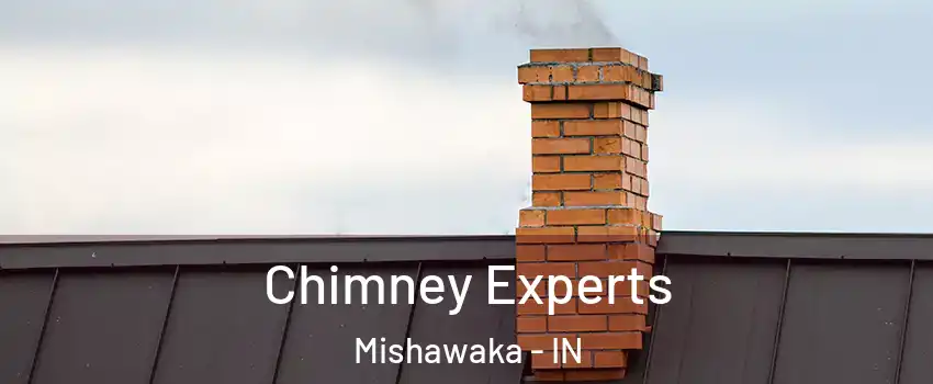 Chimney Experts Mishawaka - IN
