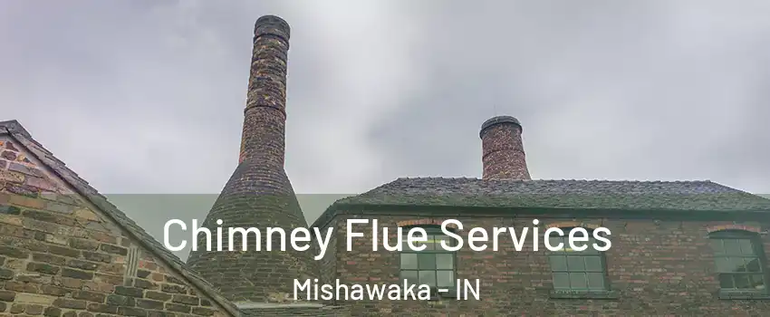  Chimney Flue Services Mishawaka - IN