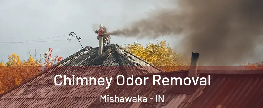  Chimney Odor Removal Mishawaka - IN
