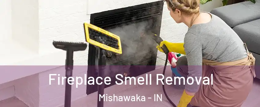  Fireplace Smell Removal Mishawaka - IN