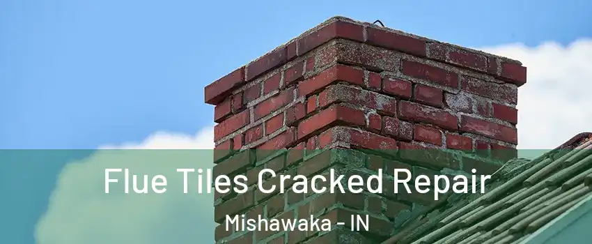  Flue Tiles Cracked Repair Mishawaka - IN