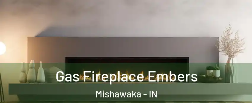  Gas Fireplace Embers Mishawaka - IN
