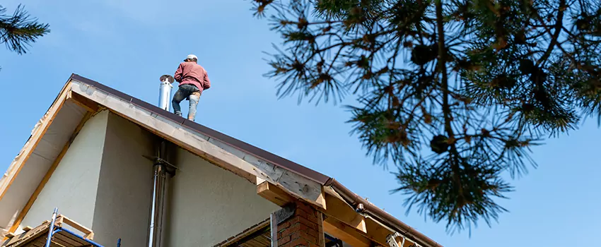 Birds Removal Contractors from Chimney in Mishawaka, IN