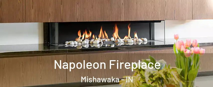  Napoleon Fireplace Mishawaka - IN