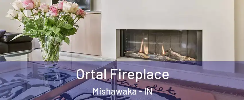 Ortal Fireplace Mishawaka - IN